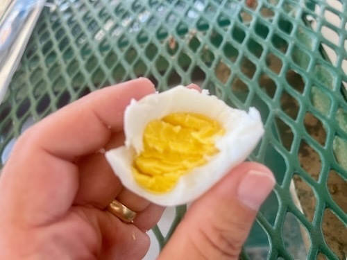 Egg test
